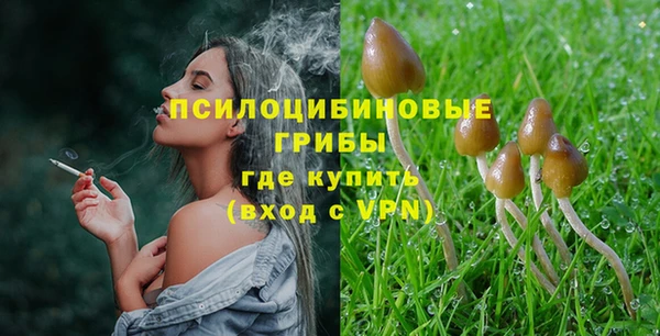 прущая мука Богданович